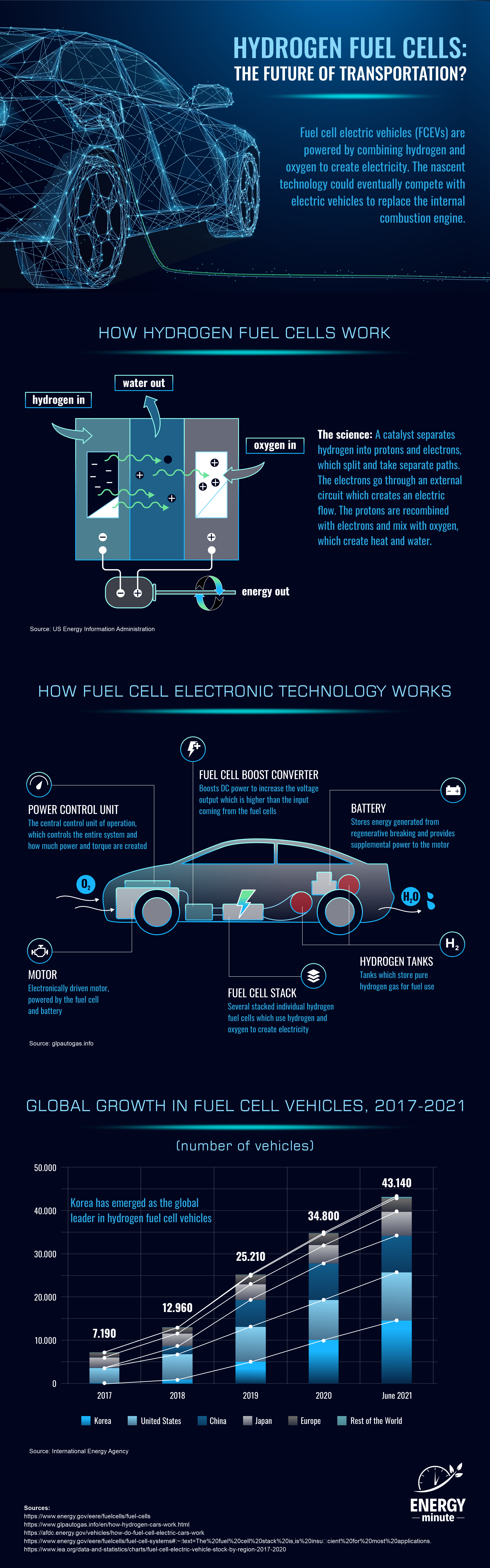 Hydrogen fuel cell vehicles