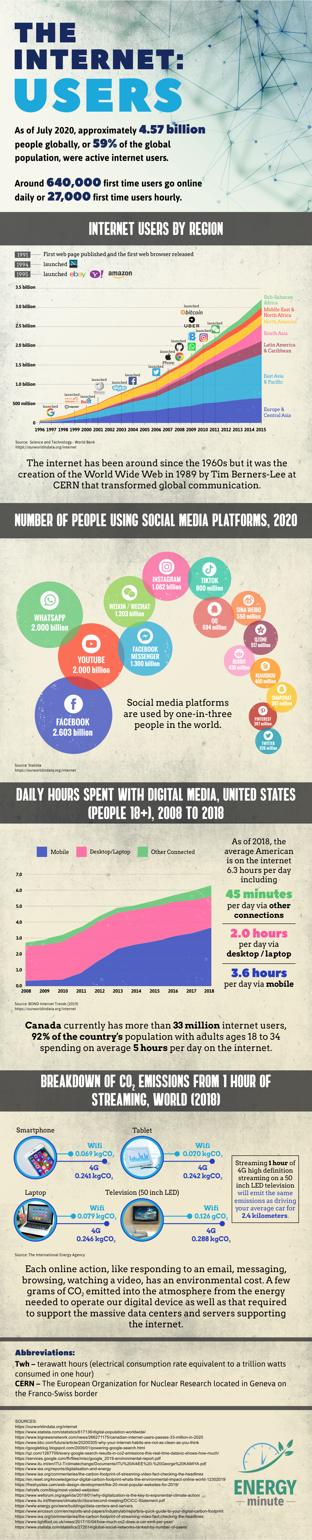 The Internet: Users
