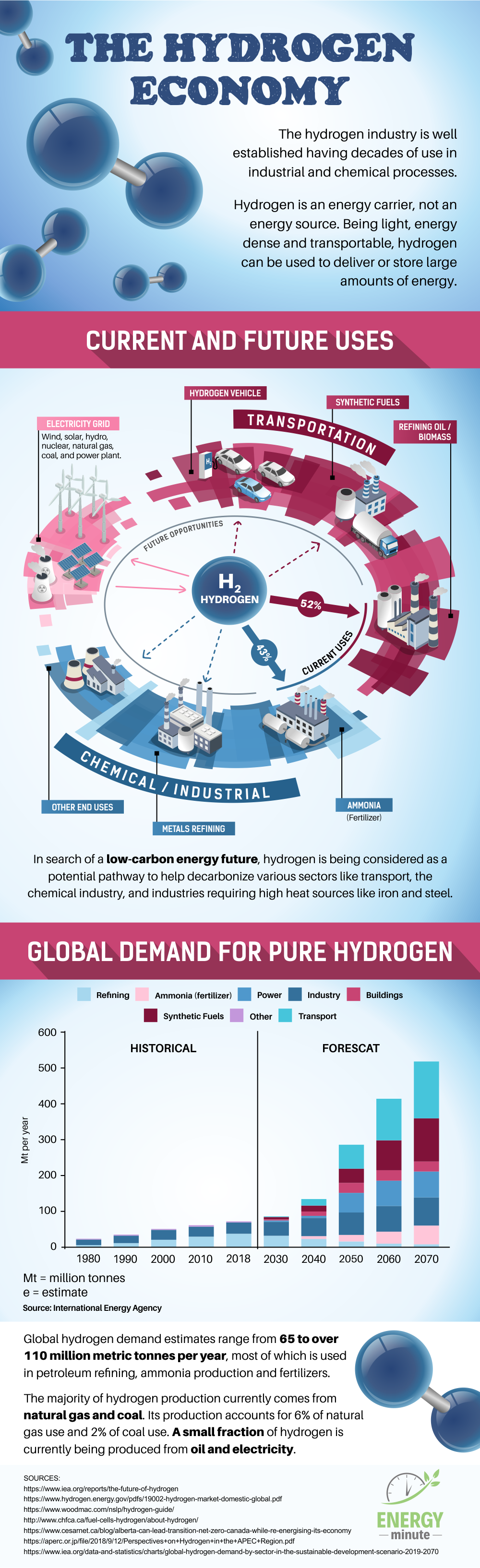 The Hydrogen Economy