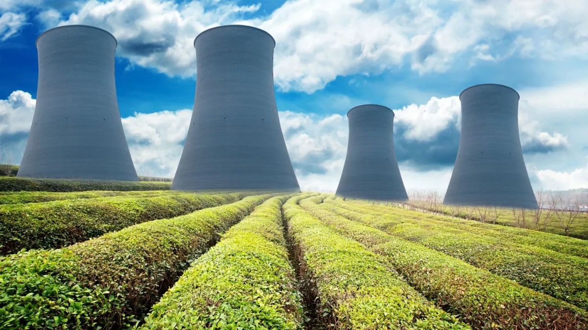 Nuclear reactors on grass